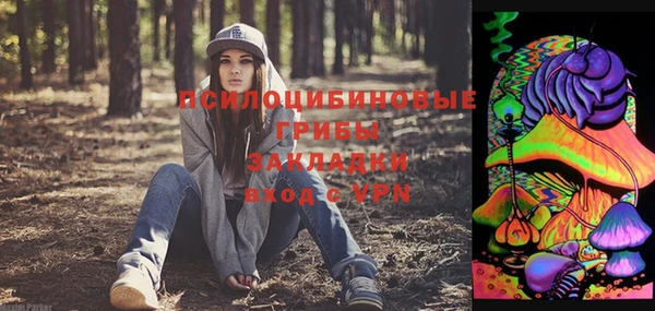 ешки Арсеньев