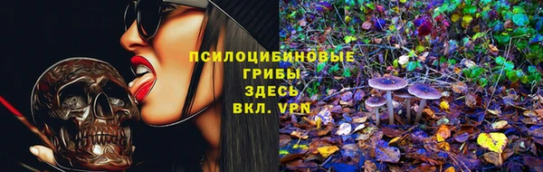 не бодяженный Медвежьегорск